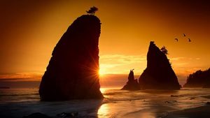 Sunset Beaches Desktop Theme for Windows 10 / 11