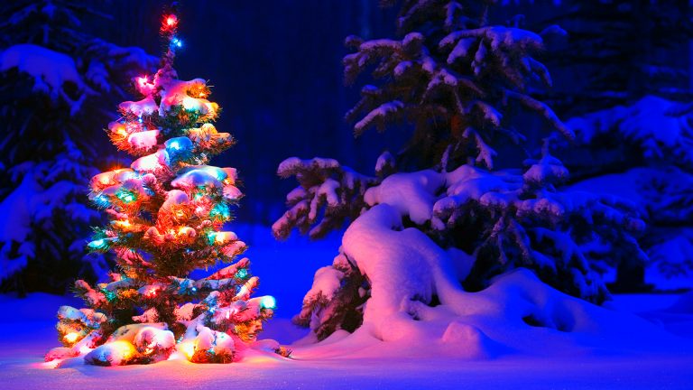 Christmas Tree