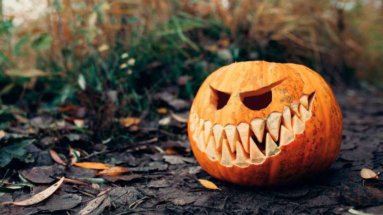 Halloween Pumpkin