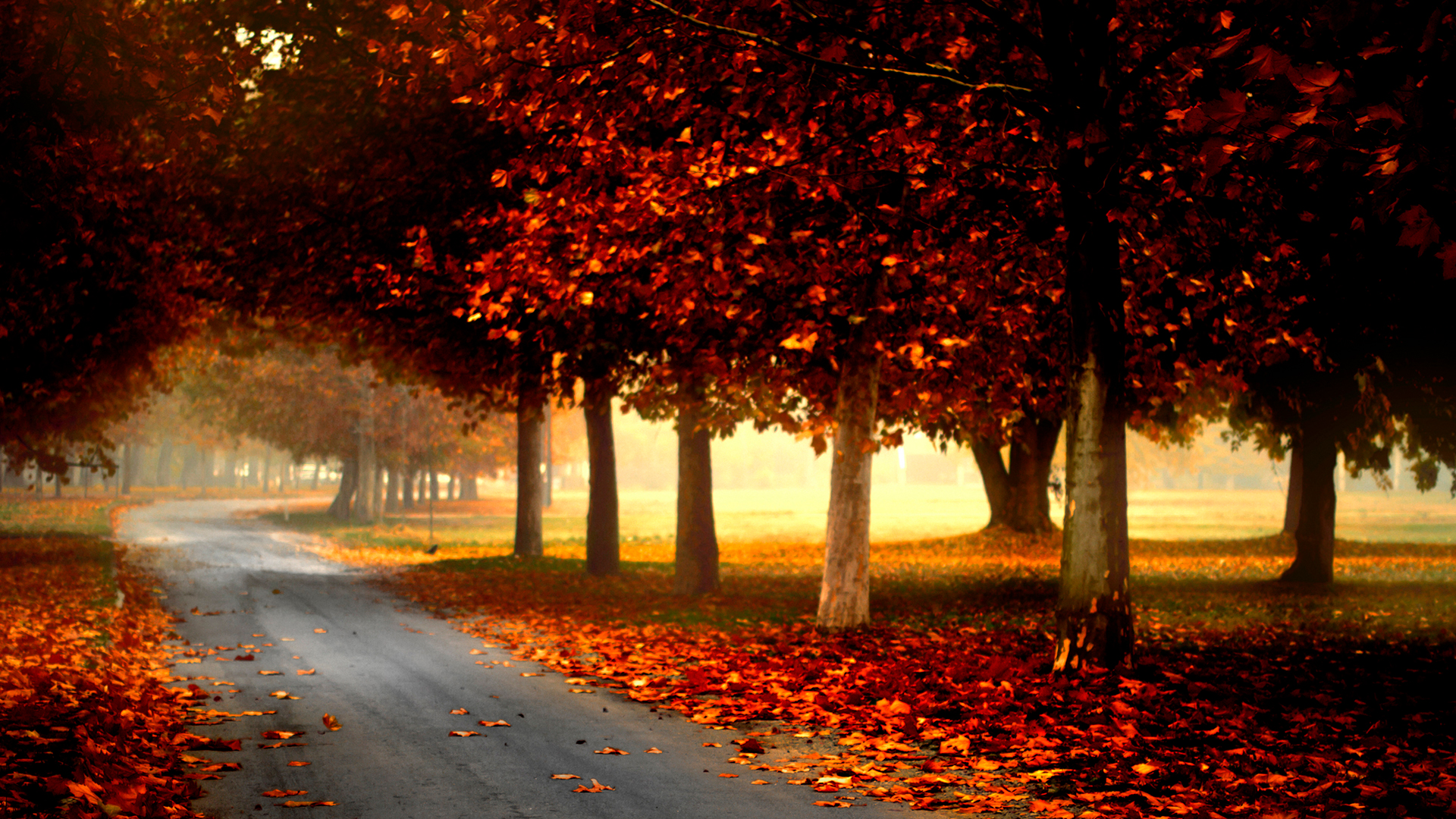 Fall Background Pictures For Desktop