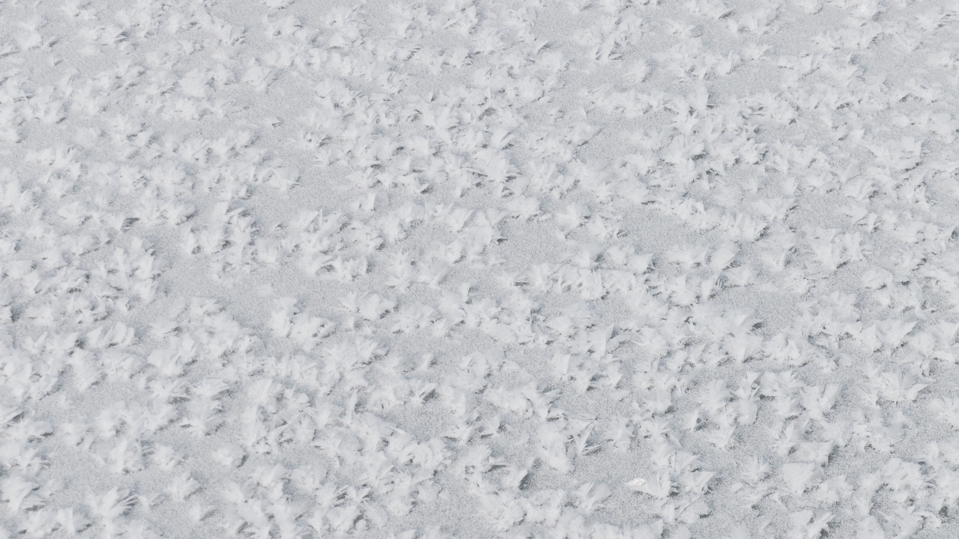 Искусственный снег текстура