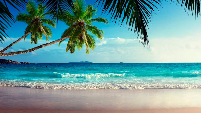 Tropical Beach Theme for Windows 10