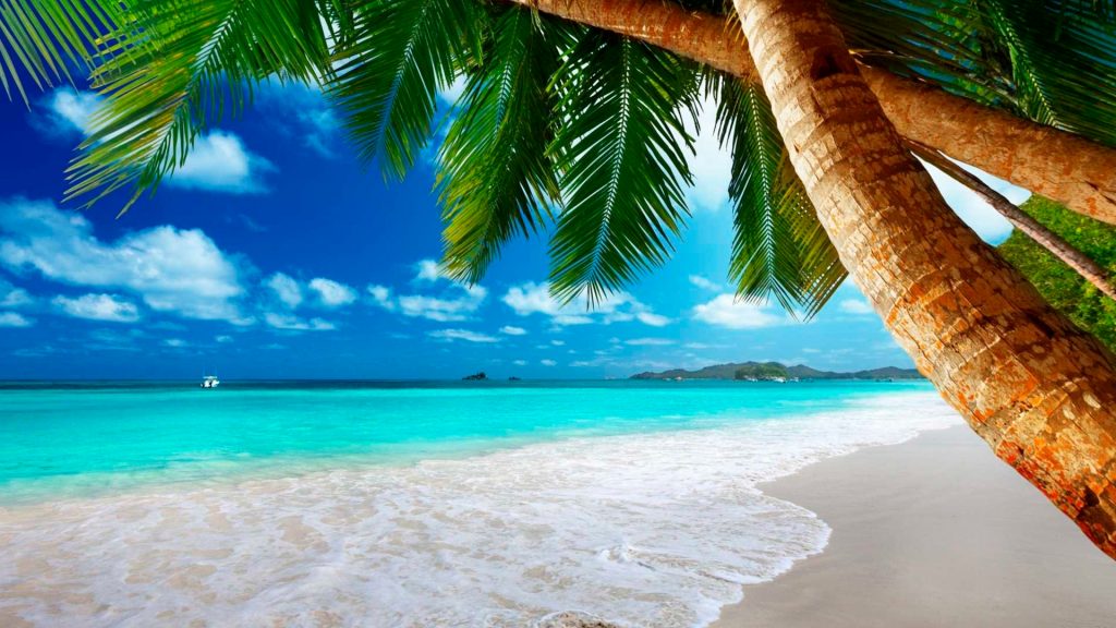 Tropical Beach Theme For Windows